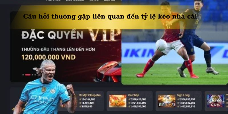 Những câu hỏi thú vị – thực tế – và cực kỳ cần thiết cho cược thủ