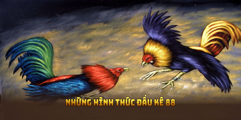 Những hình thức đấu kê 88 phổ biến không thể bỏ qua