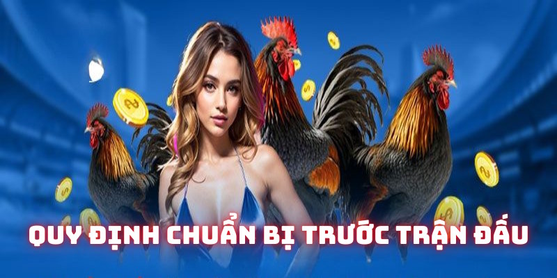 Quy định chuẩn bị trước trận đá gà WW88