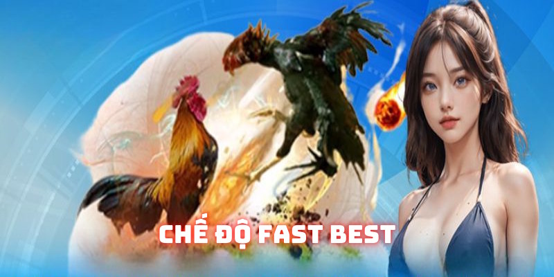 Tính năng Fast Best độc đáo trên thị trường