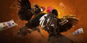 Trực tiếp đá gà 88